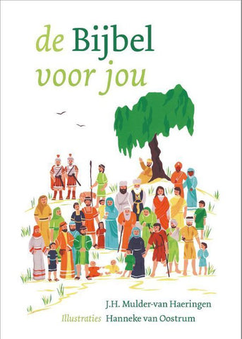 De Bijbel voor jou - J.H. Mulder-van Haeringen